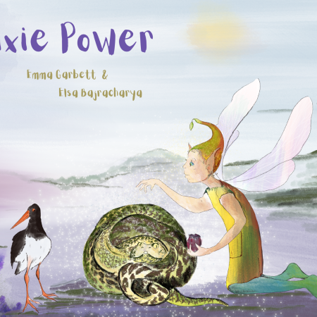 childrens Books - Pixie Book