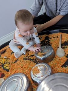 sensory development in babies