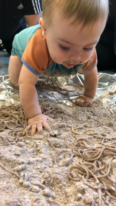 Baby Physical Development