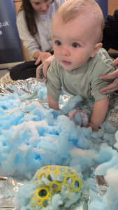 Your Baby Month by Month