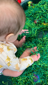 Sensory Classes