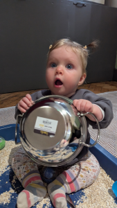 Baby Cognitive Development