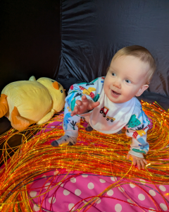 When Will My Baby Crawl?