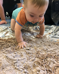 When Will My Baby Crawl