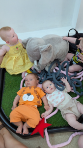 What to Expect When You Bring Baby Home. 