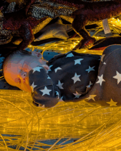 What is baby development?