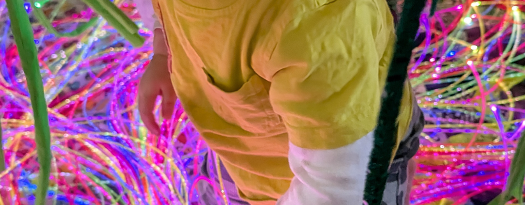 Sensory Processing in Babies