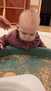 Baby Physical Development in the First Year