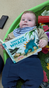 Why Do Babies Stare at Pictures in Books?
