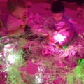 Baby and toddler classes Cheshire